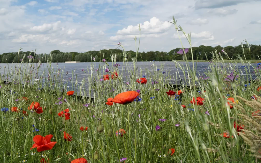 Zonnepark Munsterjansdijk