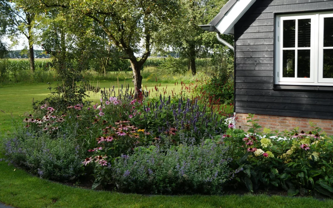 Erfinrichting en bloemrijke tuin Heeten