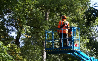 Buitenmeesters is ISO9001, VCA* en BRL groenkeur gecertificeerd!